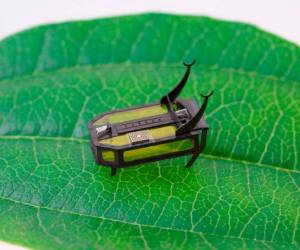 Los creadores del RoBeetle cubrieron esos cables con polvo de platino que actúa como catalizador para la combustión del vapor de metanol.