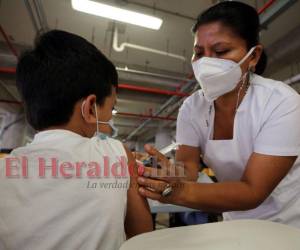 Las autoridades indicaron que los puestos de la Oficina Sanitaria Internacional (OSI) funcionarán normalmente en sus turnos en los puertos y aeropuertos del país.