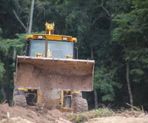 Las autoridades gubernamentales diseñan estrategias para reconstruir la red vial del país.