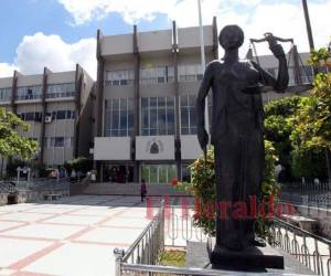 Las dos opiniones se encuentran en poder del Congreso Nacional para ser analizadas por los diputados de las distintas bancadas.