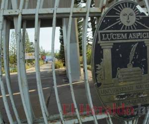 La seguridad alimentaria y sanitaria son la prioridad para evitar una crisis social, a la vez trabajar por la recuperación poscrisis. Foto: Alex Pérez/El Heraldo.