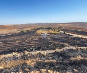 Imagen de una zona devastada por el incendio.