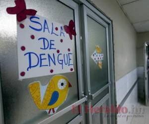 El menor falleció en el Mario Rivas de San Pedro Sula. Foto: EL HERALDO