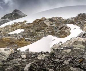 El retroceso del glaciar ha representado una 'oportunidad única de hacer un estudio que en los Andes no se había hecho, de cómo la vida va colonizando la roca cuando se retira el hielo, expresa la física que estudió este fenómeno. Foto: AFP