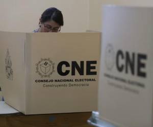El diputado Rivera afirmó que la elección de nuevas autoridades electorales dependerá de los consensos.
