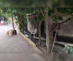 El hecho ocurrió en la comunidad de Gualala, en Santa Bárbara.