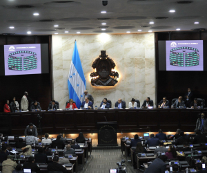 El presidente del Congreso Nacional (CN), Luis Redondo, hizo el anuncio de la creación de la comisión especial legislativa el pasado martes 6 de febrero durante la cuarta sesión de la tercera legislatura.