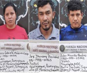 De acuerdo con las informaciones, El Potro, presuntamente se encargaba de la venta y distribución de drogas en todo el municipio de Siguatepeque, Comayagua.