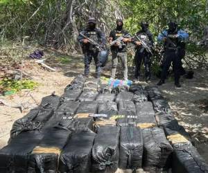 Los policías aprovecharon el descenso de la marea para ingresar a los manglares y localizar el cargamento.