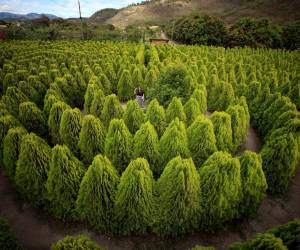 El Laberinto de Cipreses se ha convertido en uno de los lugares más visitados en la ciudad de Comayagua, pues es un complejo en el que se pueden disfrutar de distintas actividades familiares que van desde un ambiente relajante hasta la audacia de encontrar una salida en el laberinto más grande de Centroamérica. El equipo de EL HERALDO realizó un recorrido por el lugar para vivir la experiencia. A continuación todos los detalles.