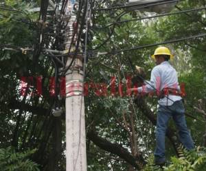 Las cuadrillas de EEH limpiarán varias líneas del tendido eléctrico.