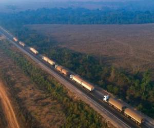 Camiones están varados en la carretera BR-163, bloqueada por indígenas Kayapo cerca de Novo Progreso, en el estado de Pará, Brasil. Foto: AP