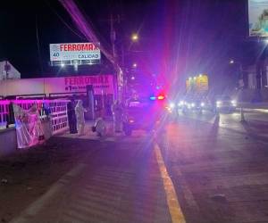 La víctima fue acribillada mientras se encontraba estacionada en una zona transitada al sur de la capital.