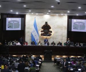 La congresista Xiomara Hortencia Castro pide reformas a las leyes para la pronta instalación de la CICIH.