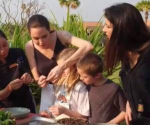 Angelina además enseñó cómo le gusta comer sus tarántulas. Foto: Video Twitter