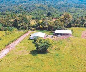 La iniciativa del ley fue presentada en marzo de 2022 por el diputado Jari Dixon, encaminada a otorgar el traspaso de tierras incautadas por la OABI al INA.