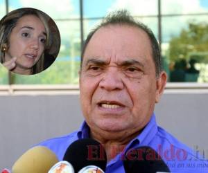 Romero Ellner fue condenado, el pasado 15 de marzo de 2016, a cumplir 10 años y ocho meses de prisión por hacer falsas acusaciones contra Gálvez Ferrari.