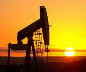Luego de subir ligeramente, los precios del petróleo bajaron tras la publicación del informe.