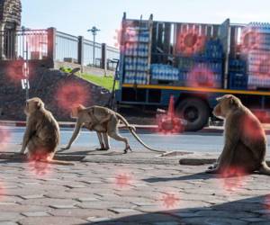 Expertos consideran que el virus se extiende mayormente en la comunidad masculina gay, pero otras personas también están en riesgo.