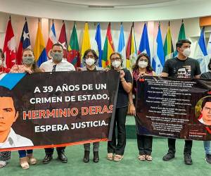 El presidente de la Corte-IDH, Ricardo Pérez, agradeció al Estado la aceptación de los hechos. También lo hizo la parte querellante.