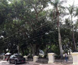 Recuperar las palmeras, incorporar setos de ciprés y respetar el diseño original del parque La Leona son parte de los compromisos asumidos por vecinos y autoridades municipales.