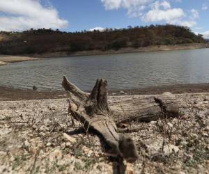 En El Salvador ya están tomando las medidas necesarias para hacer frente a los efectos de El Niño.