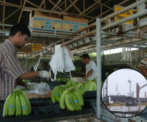 Entre 60 y 80 trabajadores fueron cesanteados por el cierre de operación logística en Puerto Cortés.