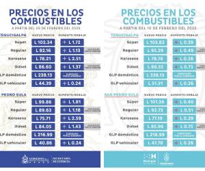 En ambas tablas con las estructuras emitidas por la Secretaría de Energía se pueden apreciar las variaciones a los carburantes en fechas similares que abarcan hasta mediados de febrero de 2026 y 2025.