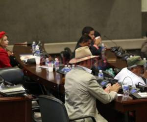 Entre turbantes, boinas, sombreros y selfies algunos diputados son parte de las secciones del Congreso Nacional. (Foto: El Heraldo Honduras)