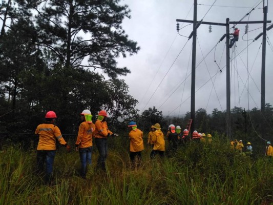 Las cuadrillas de la EEH realizarán trabajos de mantenimiento desde las 8:00 AM a las 4:00 PM en la mayoría de las colonias.