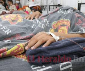 8,542 casos de dengue reporta Honduras, de los cuales 446 son dengue grave o hemorrágico y el resto han sido sin signos de alarma. Foto: El Heraldo