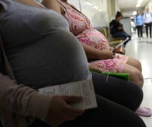Las mujeres embarazadas son las que mas se deben de cuidar de la picadura del mosquito Aedes aegypti.Foto:Johny Magallanes/EL HERALDO.