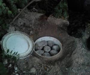 El balde estaba semienterrado en un solar baldío de la colonia El Pedregal de a capital de Honduras.