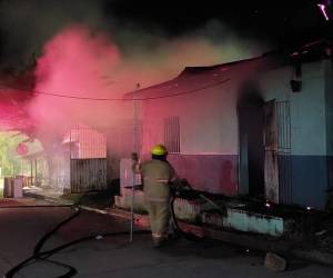 Hasta el momento se desconoce qué habría provocado el incendio.