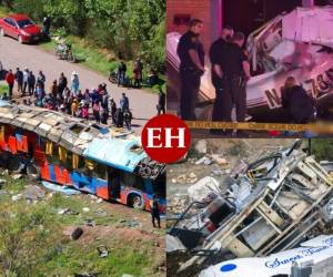 El fin de semana dejó decenas de muertos en aparatosos accidentes de avionetas y autobuses. El clima pudo haber sido la causa de estas mortales tragedias que enlutan el inicio de la temporada navideña en varios países del mundo. Fotos: AP/AFP.