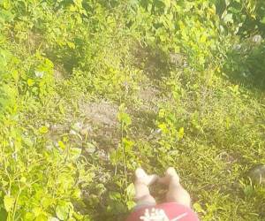El cadáver del hombre fue encontrado atado de sus manos; vecinos piden se esclarezca el crimen.
