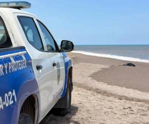 El hallazgo fue reportado por personas que se encontraban en la zona, quienes alertaron a las autoridades tras observar el cuerpo flotando en el mar.