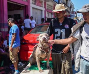 Pero 'Bolillo' ya se ha cruzado varias veces durante el periplo. La última vez fue en Guatemala. Foto: AFP