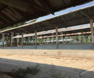 Este es parte de los establos de la finca incautada este día por el Ministerio Público. Foto: El Heraldo.