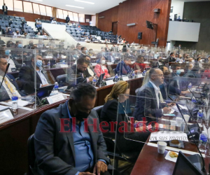 La mayoría de parlamentarios se mostró a favor de la derogación de la polémica ley.