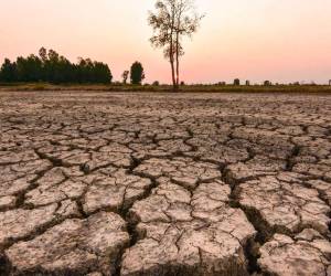 El fenómeno de El Niño provoca una disminución en la cantidad e intensidad de las lluvias.