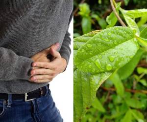 Entre los síntomas a tener en cuenta está el dolor de cabeza, mal aliento, falta de energía, fatiga, inflamación intestinal, estreñimiento y aumento de peso. Foto: Pixabay