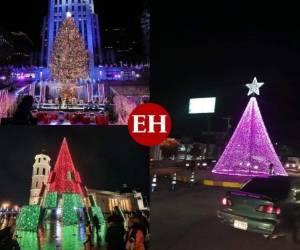 Cada vez que llega la temporada decembrina, los países adornan sus calles con preciosos árboles navideños.En esta galería te mostramos los más bellos y populares del mundo. ¡Échales un vistazo! Foto: AFP