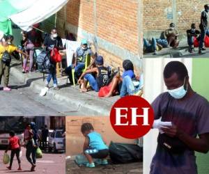 La pobreza, la falta de oportunidades y los conflictos sociales, obligan a cientos de haitianos a abandonar su país de origen y a empezar la peligrosa ruta migratoria en busca del 'sueño americano'. Uno de los destinos que les sirve de camino es Honduras, donde familias enteras vagan en la ciudades gemelas para continuar hacia Estados Unidos, así lo evidenció el equipo de EL HERALDO Plus. Más detalles a continuación. FOTOS: Alex Pérez/Emilio Flores/EL HERALDO