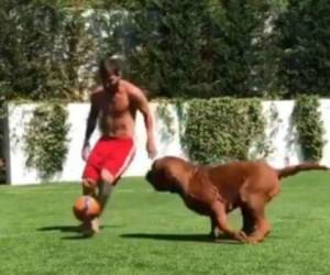 Leo Messi mostrando su talento futbolístico con su enorme perro llamado 'Hulk'. Foto: Instagram