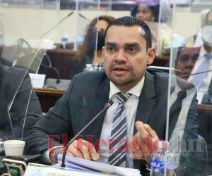 El diputado descartó que el gobierno genere empleos.