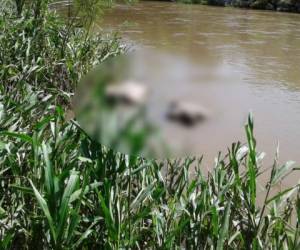 Los dos cuerpos fueron hallados esta mañana flotando en las aguas del río Chamelecón.