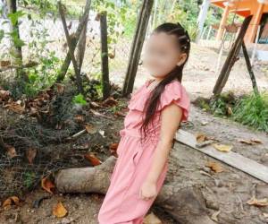 Niña de 5 años aparece sin vida tras salir a la pulpería.