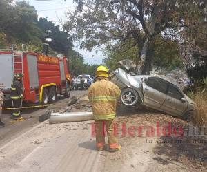 El automotor estuvo a punto de caer a una hondonada, sin embargo se detuvo en un árbol.