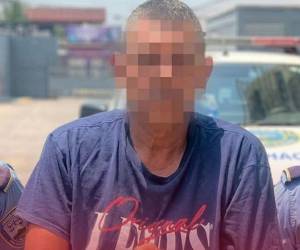 Hasta el momento no ha sido aclarado los motivos del sospechoso para cometer el ataque contra los menores y su padre.
